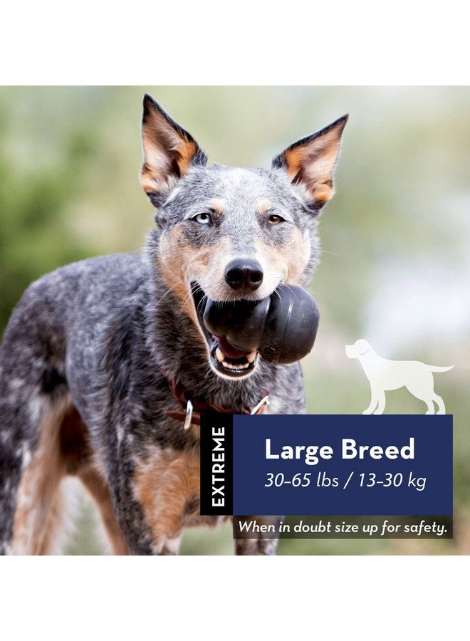 كونج لعبة إكستريم دوج - لعبة إحضار ومضغ - قدرات ملء المكافآت وارتداد غير منتظم لوقت لعب ممتد مادة مطاطية طبيعية متينة للغاية - لمضغ قوي - للكلاب الكبيرة - Image 2