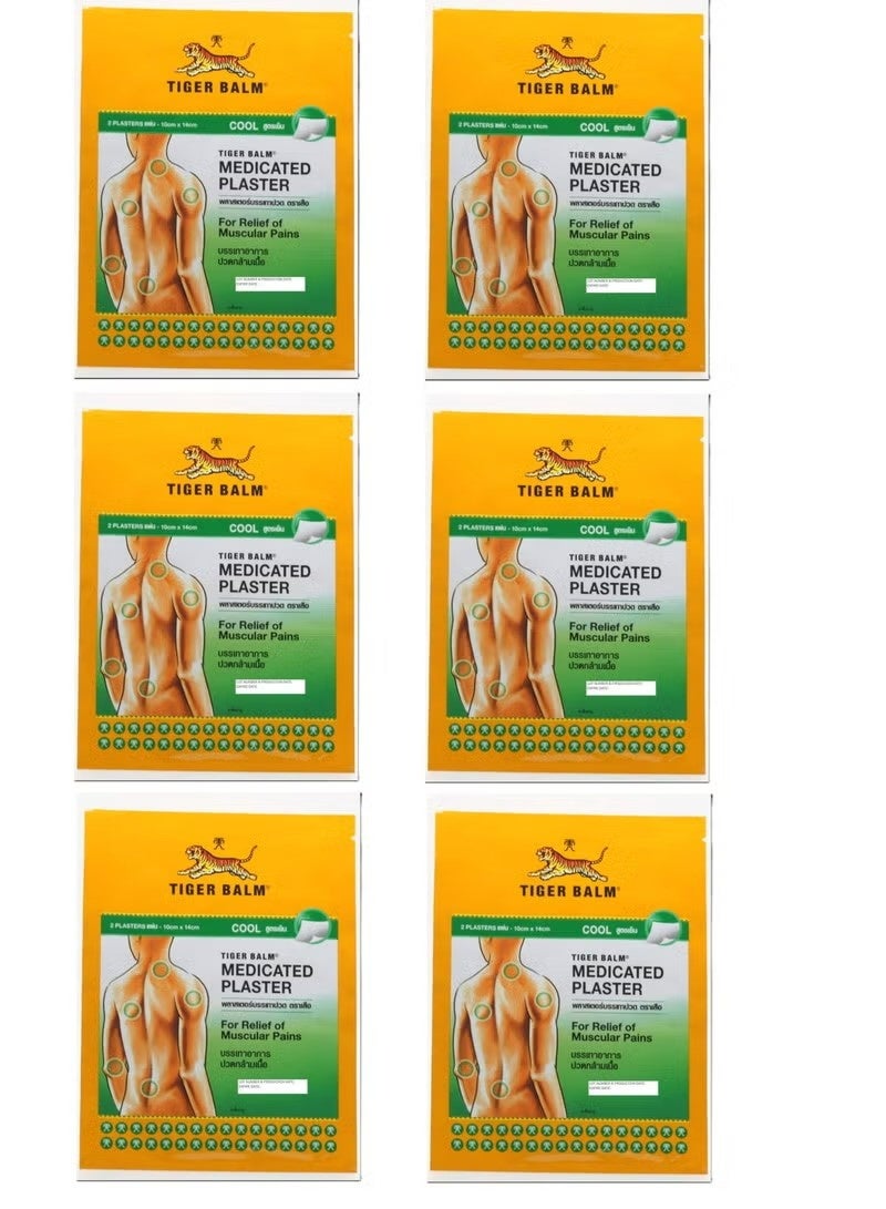 جص بلسم النمر حزمة تخفيف الألم المبردة 6 (10 سم × 14 سم)
