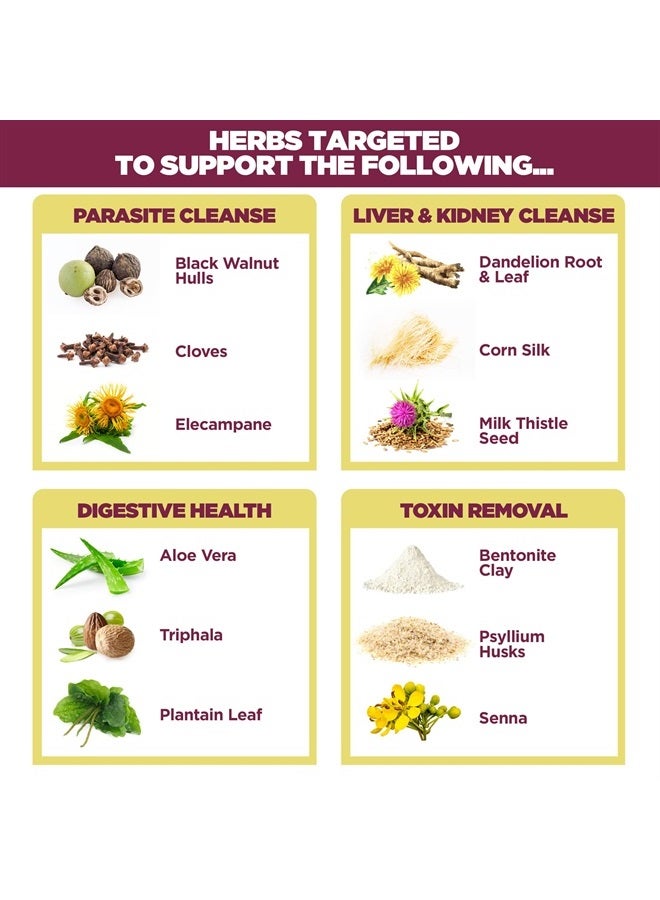 Women's Renew Internal Cleansing System - 30 Day Cleanse and Detox Kit - Female Detoxifying Herbal Support Supplements