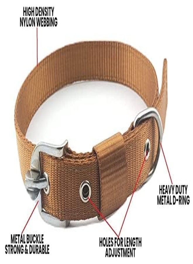 D&C PAWS Dog Belt Combo of 1 inch Nylon Collar with Heavy Dog Chain 63 Inch Lengthy Dog Collar Chain (Large, Golden) - Image 3