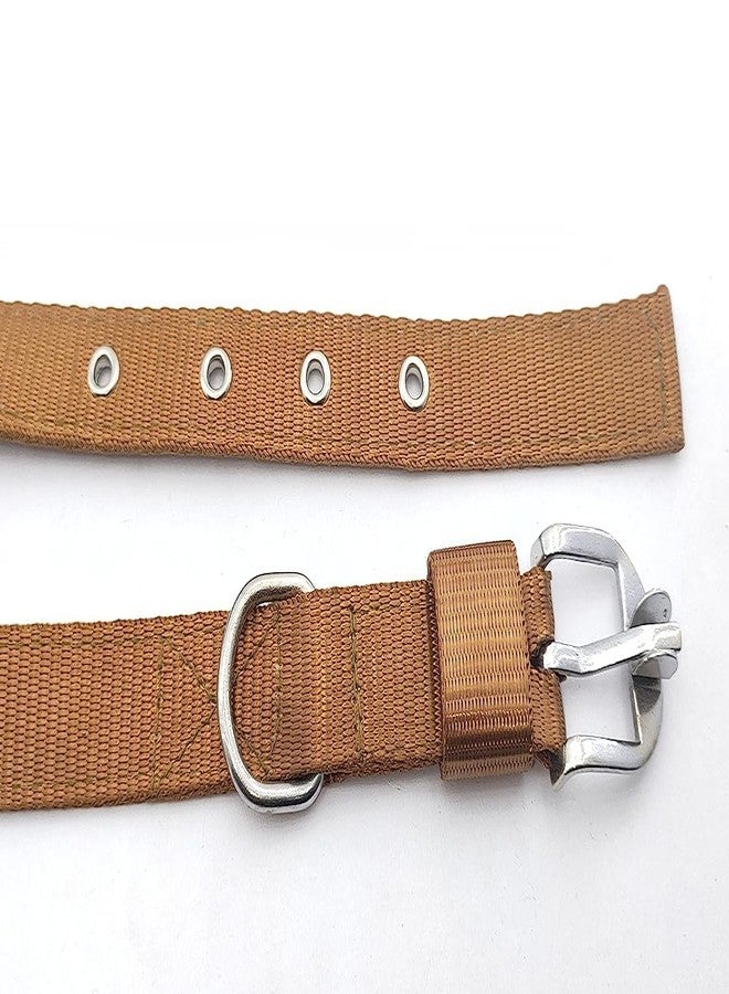 D&C PAWS Dog Belt Combo of 1 inch Nylon Collar with Heavy Dog Chain 63 Inch Lengthy Dog Collar Chain (Large, Golden) - Image 4