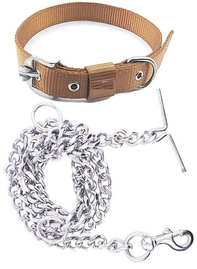D&C PAWS Dog Belt Combo of 1 inch Nylon Collar with Heavy Dog Chain 63 Inch Lengthy Dog Collar Chain (Large, Golden) - Image 1