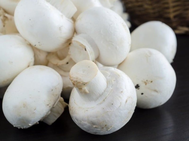 Greenify White Button Mushroom Growing Kit 6Kg (All-in-One Kit) – 500g Spawn/Seeds + 4.5Kg Pasteurized Compost + 1Kg Casing Soil + 2 PP Bags – High Yield, Grain-Based, First Generation Seeds - Image 2
