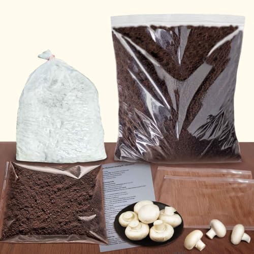 Greenify White Button Mushroom Growing Kit 6Kg (All-in-One Kit) – 500g Spawn/Seeds + 4.5Kg Pasteurized Compost + 1Kg Casing Soil + 2 PP Bags – High Yield, Grain-Based, First Generation Seeds - Image 1