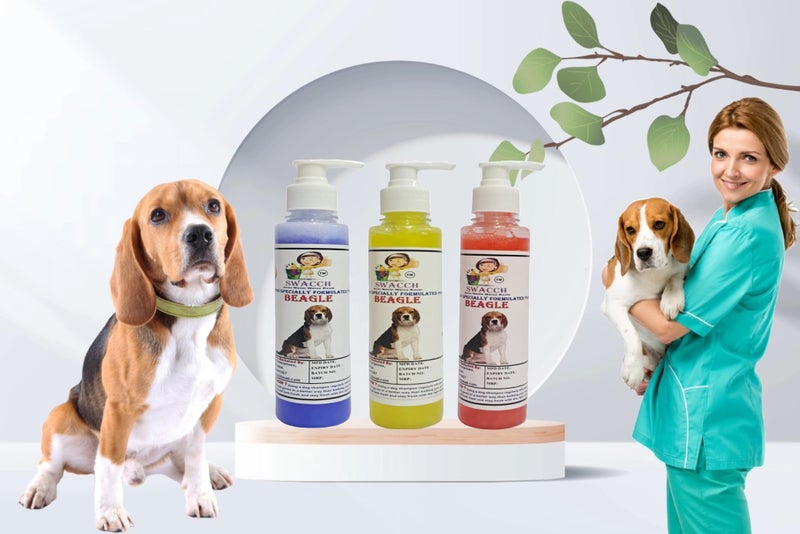 SWACCH Premium Shampoo for Beagle (200ML)(Combo Pack of 3) Lavender, Lemon, Jasmine - Image 1