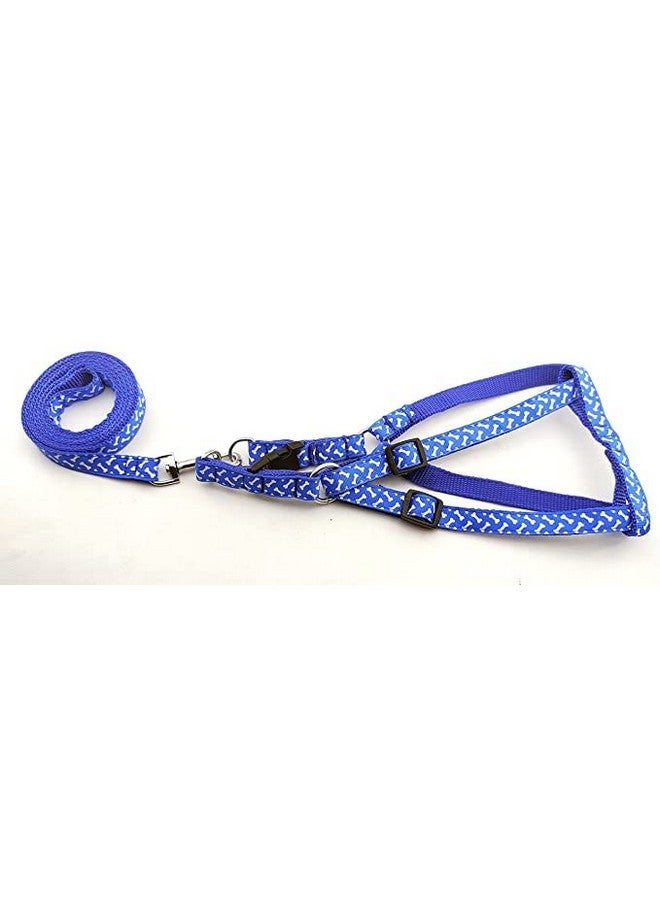 Adjustable 15 Mm Printed Nylon Harness & Leash Set For Small Dogs & Puppies (Blue) - Image 1