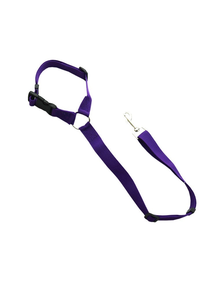 إسكدنيا 2-in-1 Dog Lead Car Safety Belt Purple