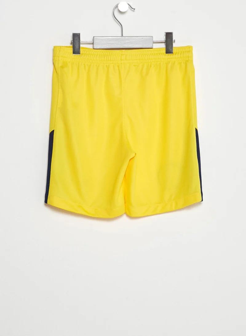Nike Youth PSG Stadium Shorts