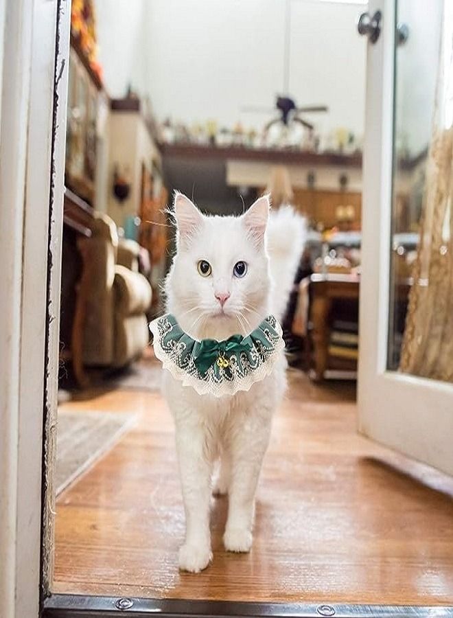 الحيوانات الأليفة بيل الدانتيل وشاح - Image 2