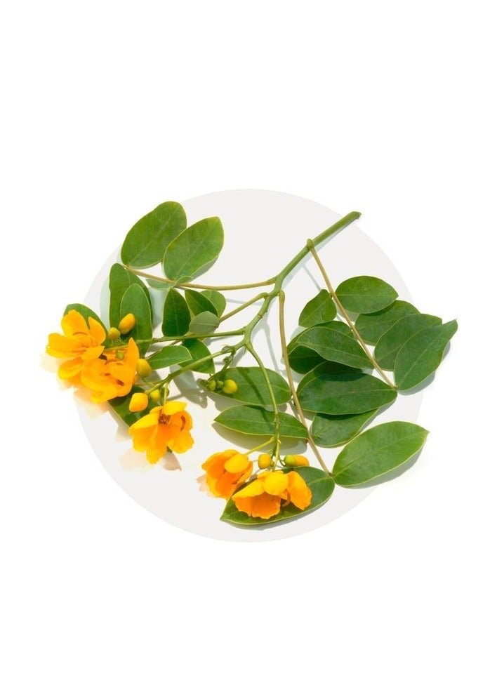 Eucarbon Compounded Charcoal Tablets 100s - Image 4