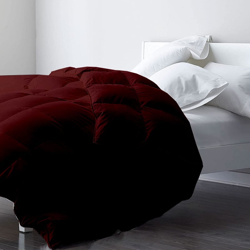 Bright Décor Bright Dcor AllSeason 300 GSM 1Piece DoubleReversible Bed ComforterQuiltBlanketRajai Down Alternative Quilted Duvet Insert with Corner Ties Winter Warm Machine Washable Burgundy Solid - Image 1