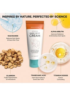 Natural Vine Natural Vine Dark Spot Corrector: Dark Spot Remover for Face Body in 4-8 Weeks - Instant Concealing & Age Brown Sun Faded Spot Remover Melasma Freckles Correcting with Niacinamide for Women & Men 60g  - Image 3