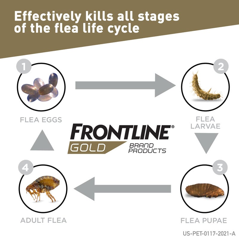FRONTLINE Gold Flea & Tick Treatment for Medium Dogs Up to 23 to 44 lbs., Pack of 6 - Image 3