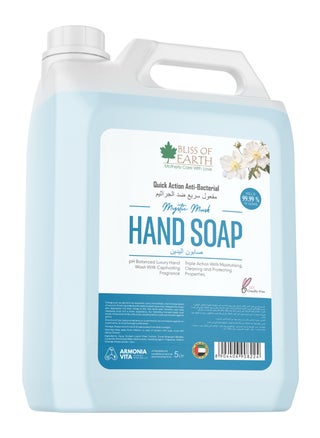 Bliss of Earth Antibacterial Hand Wash Refill Refreshing Mystic Mist Hand Soap 5 Liter Non Drying Moisturizing Formula Aromatic Fragrance Perfect Hand Soap For Hotel Office Home and Public Spaces - pzsku/Z7D666E4BA1B2BA943F8AZ/45/_/1740154852/63e52249-c140-4453-8b33-94aa3dab3965