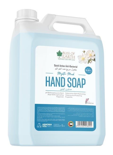 Bliss of Earth Antibacterial Hand Wash Refill Refreshing Mystic Mist Hand Soap 5 Liter Non Drying Moisturizing Formula Aromatic Fragrance Perfect Hand Soap For Hotel Office Home and Public Spaces