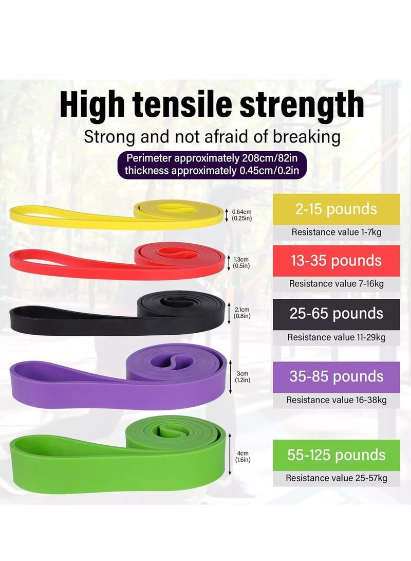 fdsport Heavy Duty Resistance Bands Set - 5 Resistance Levels, Pull-Up Assisted Resistance Bands Set, Long Exercise Bands for Men Women for Workout, Resistance Bands Can Be Used for Stretching, Fitness, Training, Physical Therapy, Body Shaping, Perfect for Home Workouts, Stretching, Muscle Building and Strength Training - Image 2