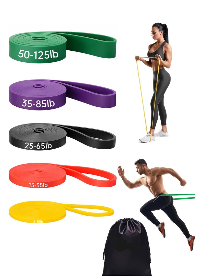 fdsport Heavy Duty Resistance Bands Set - 5 Resistance Levels, Pull-Up Assisted Resistance Bands Set, Long Exercise Bands for Men Women for Workout, Resistance Bands Can Be Used for Stretching, Fitness, Training, Physical Therapy, Body Shaping, Perfect for Home Workouts, Stretching, Muscle Building and Strength Training - Image 1