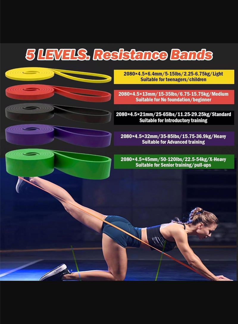 fdsport Heavy Duty Resistance Bands Set - 5 Resistance Levels, Pull-Up Assisted Resistance Bands Set, Long Exercise Bands for Men Women for Workout, Resistance Bands Can Be Used for Stretching, Fitness, Training, Physical Therapy, Body Shaping, Perfect for Home Workouts, Stretching, Muscle Building and Strength Training - Image 4