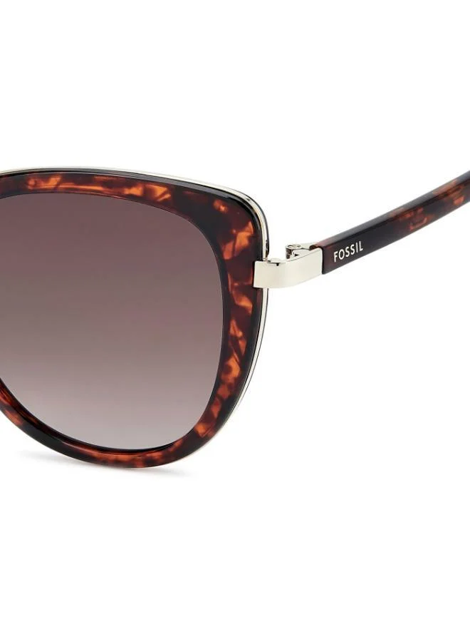 FOSSIL  Cat Eye Sunglasses Frames  | Best Price UAE