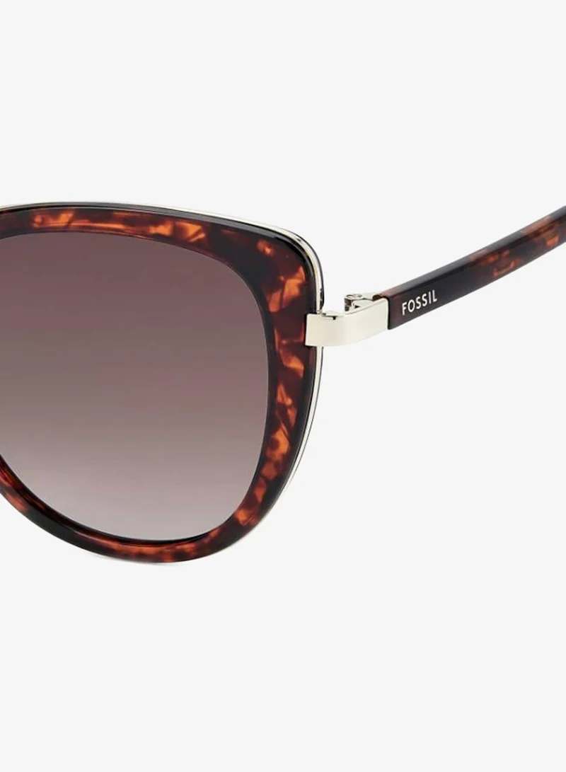 Fossil  Cat Eye Sunglasses Frames  | Best Price UAE