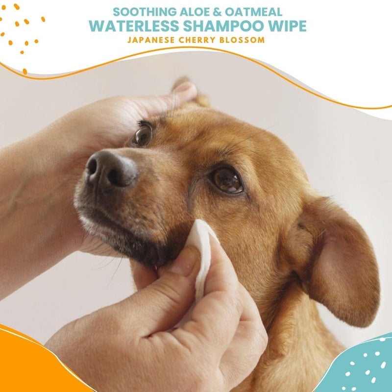 Nootie Waterless Shampoo Wipes for Dogs & Cats - Long Lasting Japanese Cherry Blossom Fragrance - Sold in Over 10,000 Vet Clinics and Pet Stores Worldwide, Made in USA - 70 Count - Image 2
