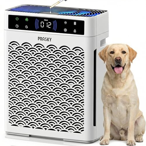 Prasky Air Purifiers for Home Large Room up to 3000sq.ft, PRASKY HEPA Air Purifier & with Activated Carbon for Office, Bedroom, Dorm Room, Kitchen - Image 1