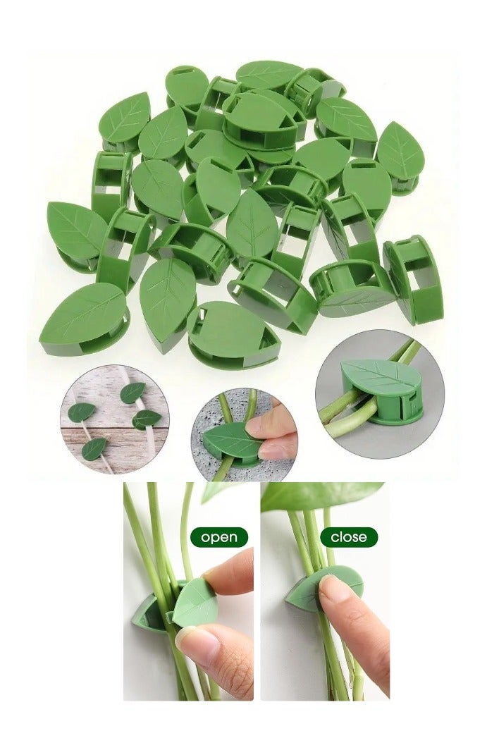 100PCS Plant Climbing Wall Fixture Clips, Plant Fixer Invisible Wall Vines Fixing Clips with Acrylic Adhesive Sticker, Self-Adhesive Hook Plant Vine Support Holder - Image 1