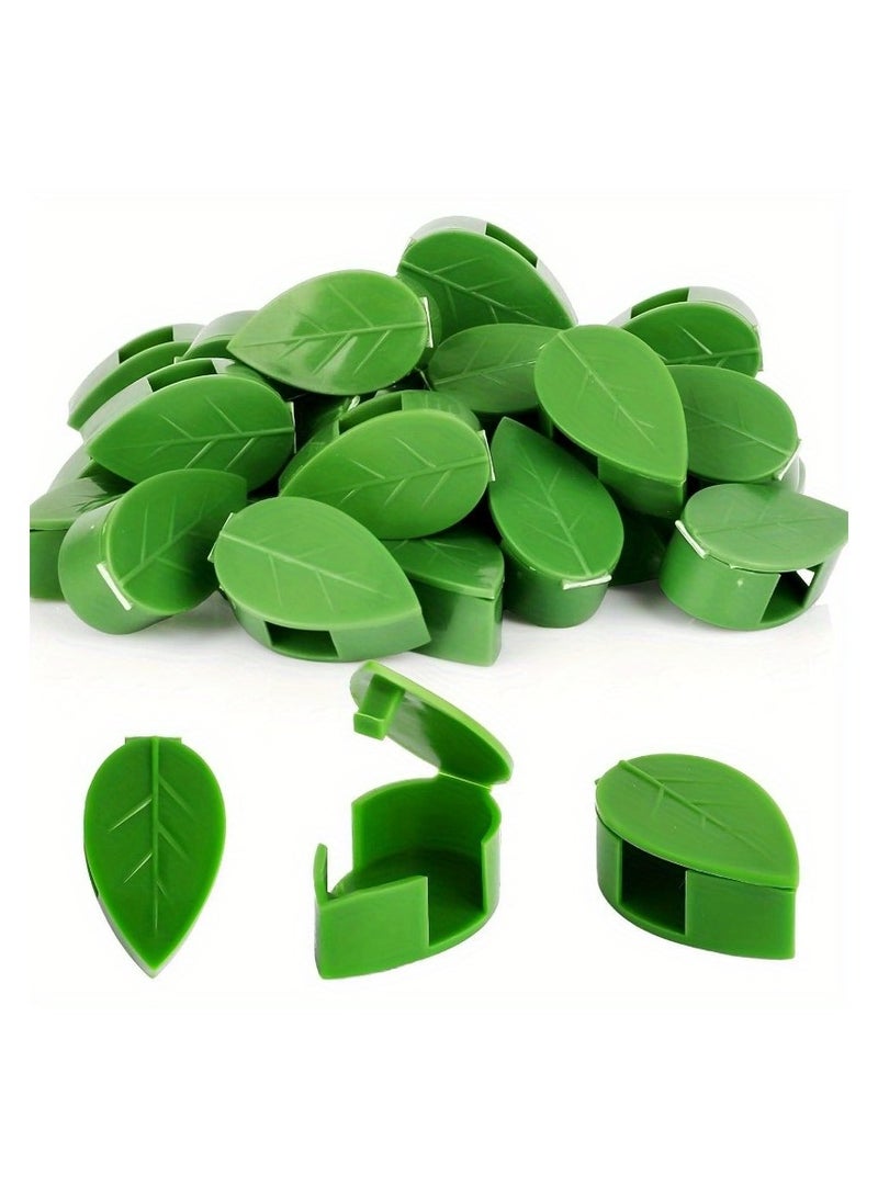 100PCS Plant Climbing Wall Fixture Clips, Plant Fixer Invisible Wall Vines Fixing Clips with Acrylic Adhesive Sticker, Self-Adhesive Hook Plant Vine Support Holder - Image 4