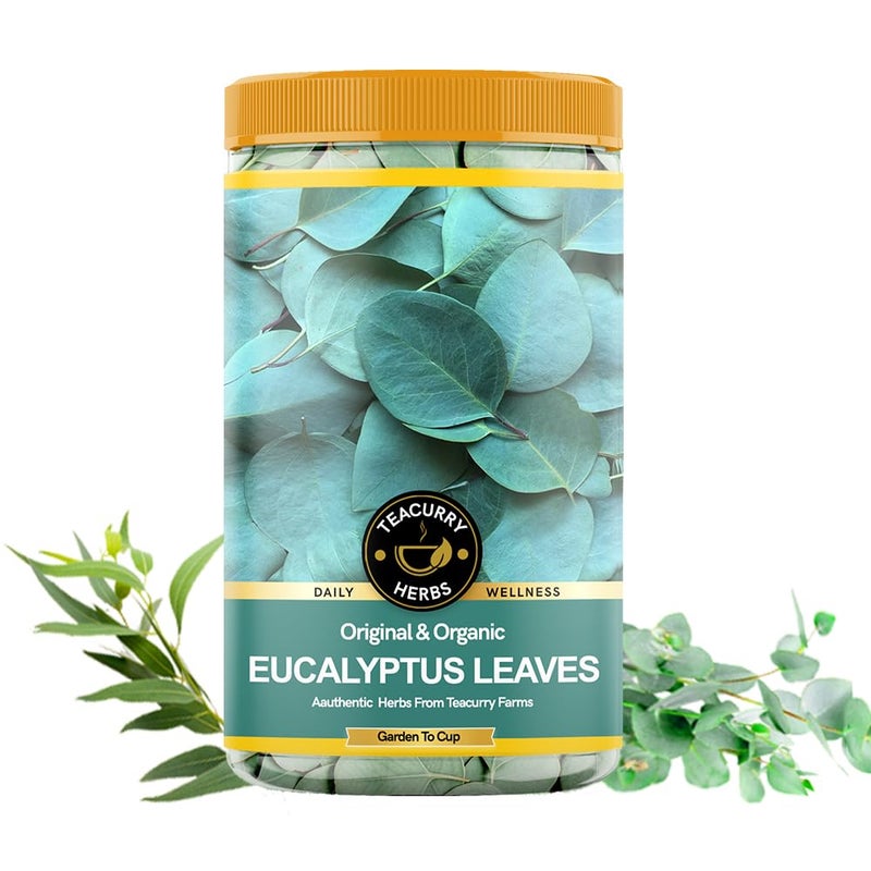 TEACURRY Organic Eucalyptus Leaves (50 Gram) - Helps With Recovery, Cough, Cold, and Relaxation, Promoting Skin Wellness & Immunity | Whole Organic Eucalyptus Leaves - All Natural - Image 1