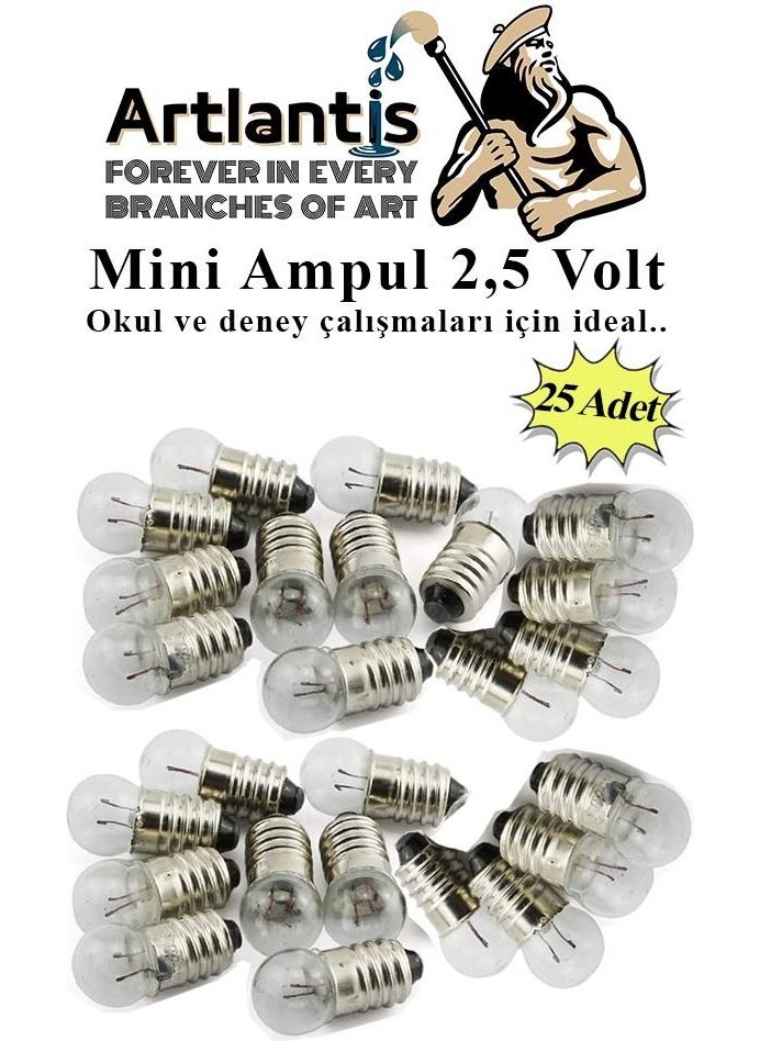 Artlantis Mini Bulb 2.5 Volt 25 Pieces 1 Pack Small Electrical Experiment Bulb 2.5 V School Class Electrical Circuit Experiment Bulb  - Image 1