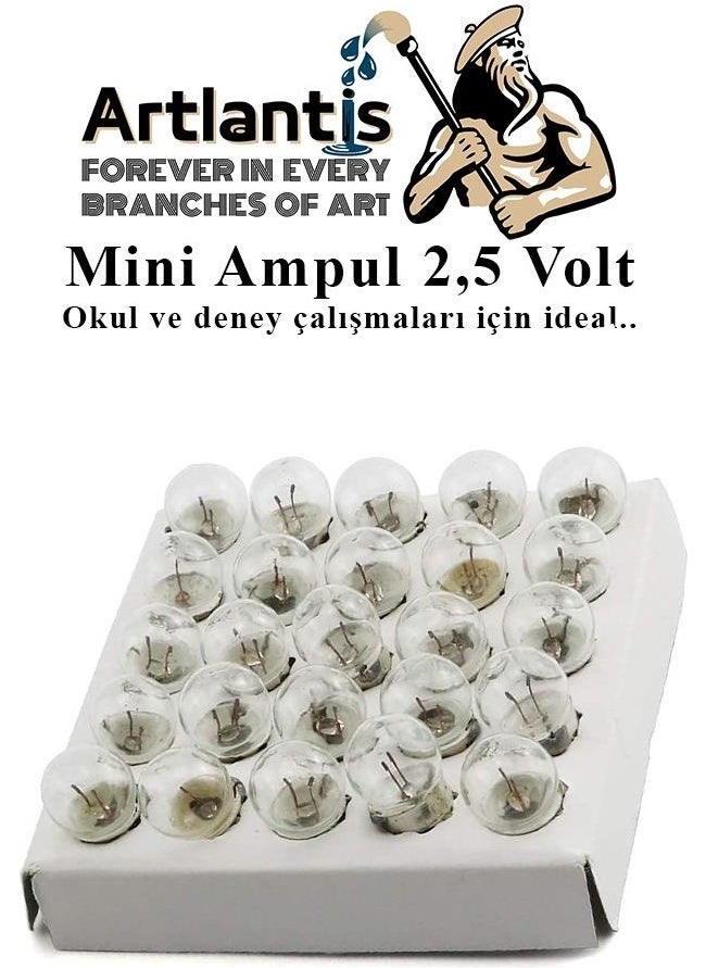 Artlantis Mini Bulb 2.5 Volt 25 Pieces 1 Pack Small Electrical Experiment Bulb 2.5 V School Class Electrical Circuit Experiment Bulb  - Image 2