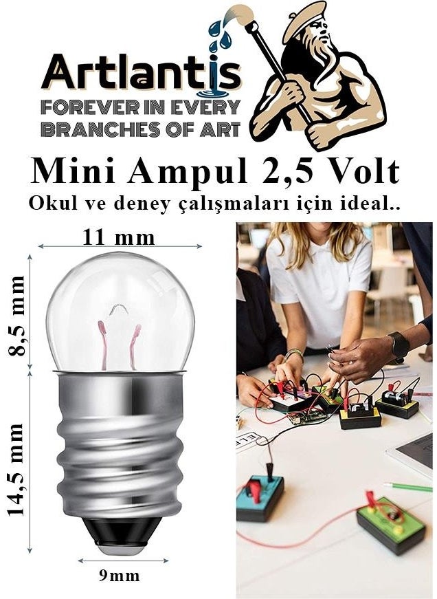 Artlantis Mini Bulb 2.5 Volt 25 Pieces 1 Pack Small Electrical Experiment Bulb 2.5 V School Class Electrical Circuit Experiment Bulb  - Image 5