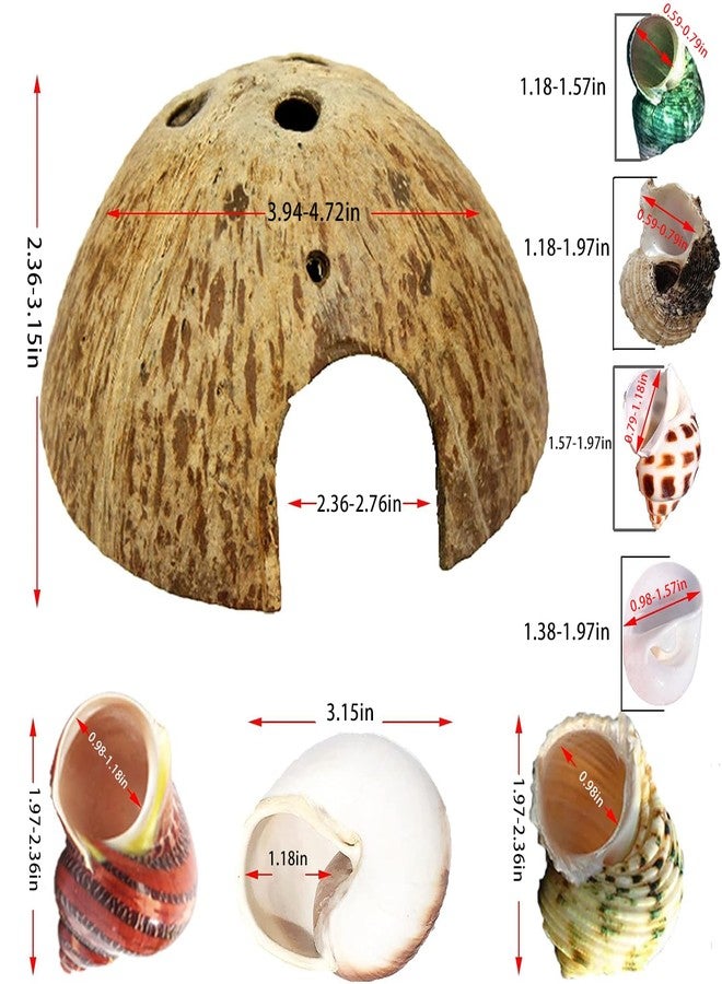 SINKOO Hermit Crab Shell Growth Seashells 15 PCS (7 Types) Natural Coconut Shells Hut for Fish Tank Decor Hide Reptile Hideouts - Image 2