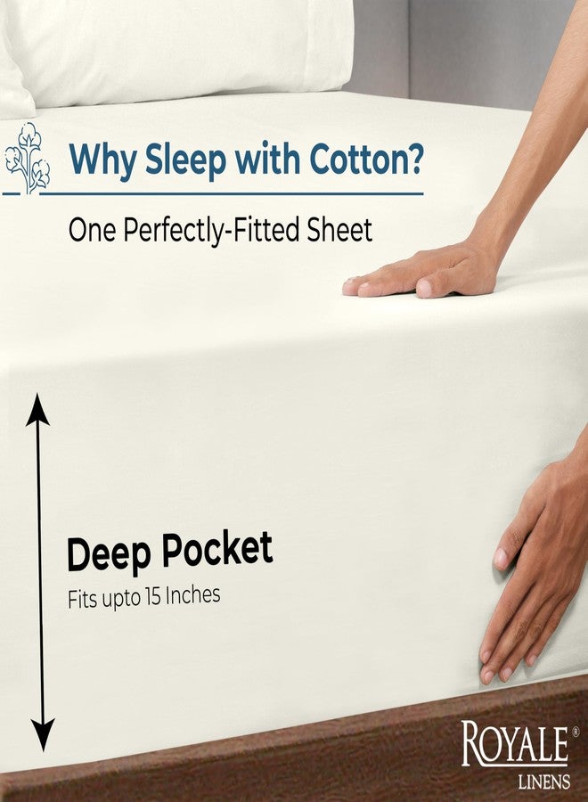 ROYALE LINENS ملاءة سرير قطنية 100% من رويال لينينز - Image 2