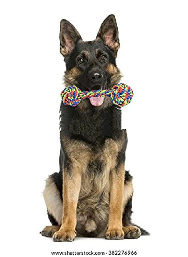 BLACK DOG Toys for Adult Dogs | Puppies Toys | Small Medium Large Dogs Toys | Chew Toys | Nylon Dog Bone Toys | Toys for Dogs Combo Pack of 4 (Buy One Combo Get One Chew Bone Free) - Image 5