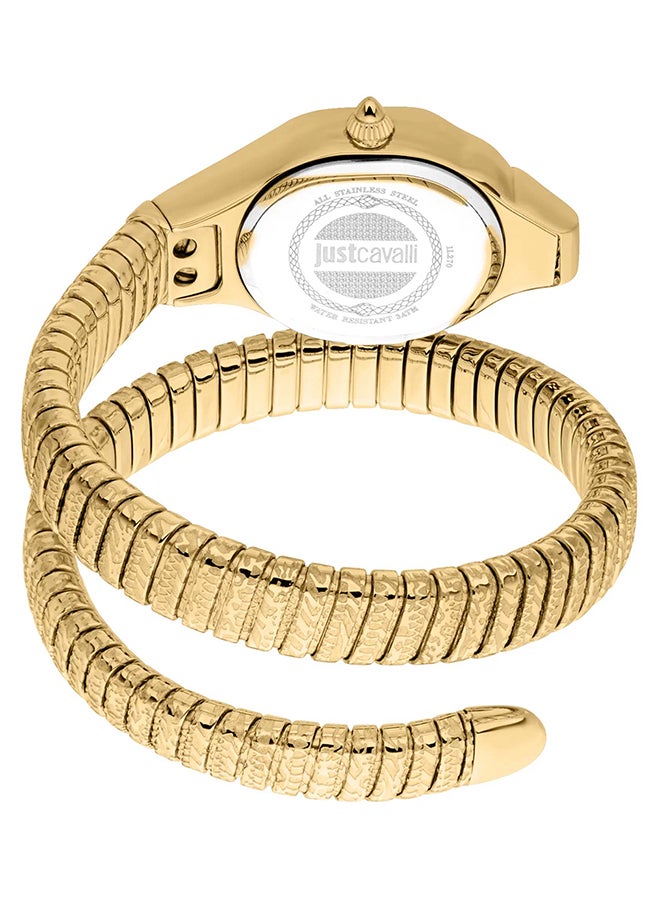 Just Cavalli جست كافالي ليدي سنيك أمالفي JC1L270M0025 - ساعة كوارتز أنثوية من الفولاذ المقاوم للصدأ ذات عقربين - Image 3