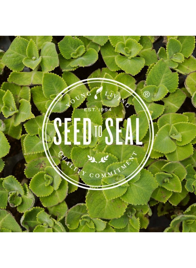 Young Living MultiGreens - Herbal Supplement - formulated with Melissa Essential Oil - 120 Capsules - Image 5