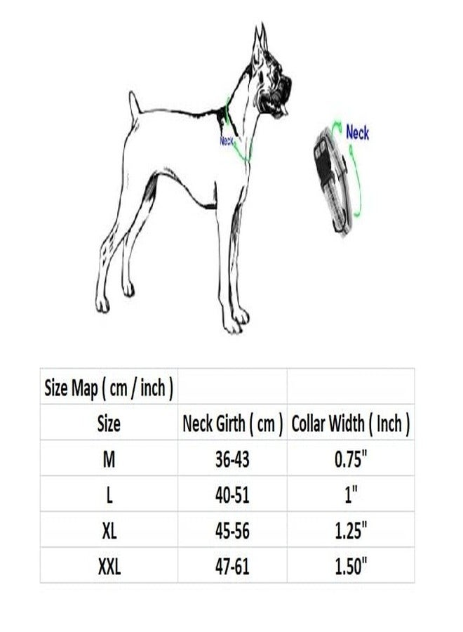 The DDS Store Large Nylon Dog Belt Dog Collar Dog Collar Pet Collar Puppy Collar Basic Collar (Neck Girth = 40-51 cm, Width = 1 inch)-Color May Vary - Image 5
