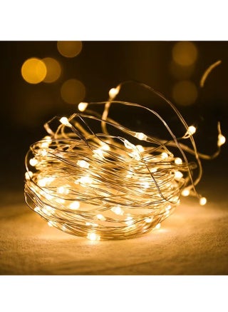 3m Long Warm String Lights with Batteries 20 LED Decorative Lights - pzsku/Z7D6CA095A6397D48D1FEZ/45/_/1738754023/1d81bbf5-fcff-4343-9a69-faab20f9766c