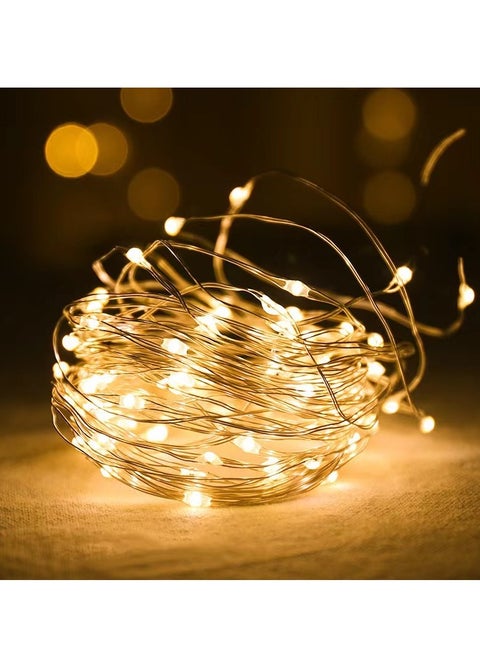 3m Long Warm String Lights with Batteries 20 LED Decorative Lights