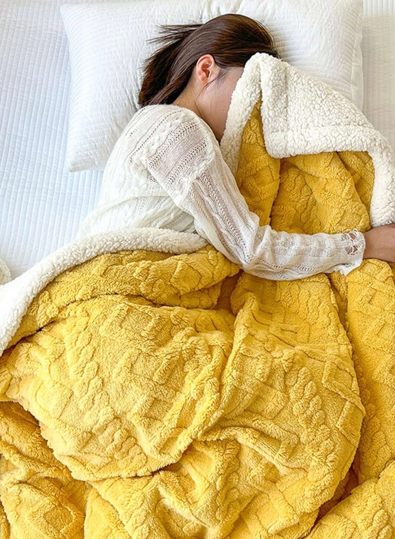 DubaiGallery Home Thick Bed Blanket Double Side Lamb Cashmere Fleece Plaid Blanket Winter Warm Throw Sofa Cover Newborn Wrap Kids Bedspread - Image 2