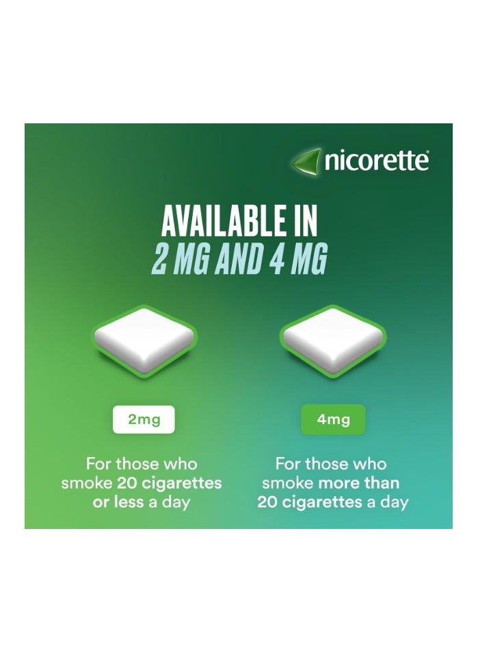 نيكوريت نيكوريـت فرشمنت علكة ٢ مجم – ٢١٠ قطعة - Image 2