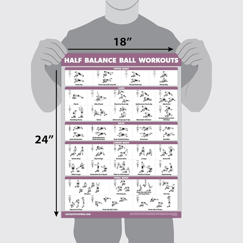Palace Learning Half Balance Ball Workout Poster - Exercise Chart (LAMINATED, 18" x 24") - Image 2