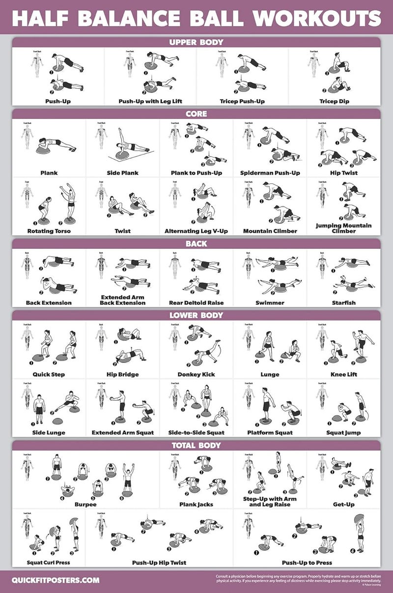 Palace Learning Half Balance Ball Workout Poster - Exercise Chart (LAMINATED, 18" x 24") - Image 1