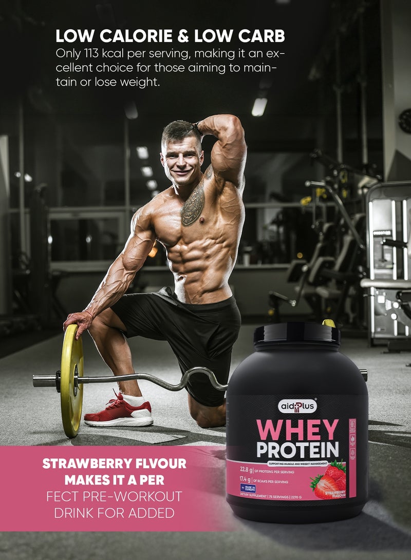 AID PLUS بروتين واي مركز بنكهة الفراولة، 2270غ | 75غ بروتين لكل حصة | لدعم نمو العضلات والتعافي | خالي من الجلوتين واللاكتوز - Image 4