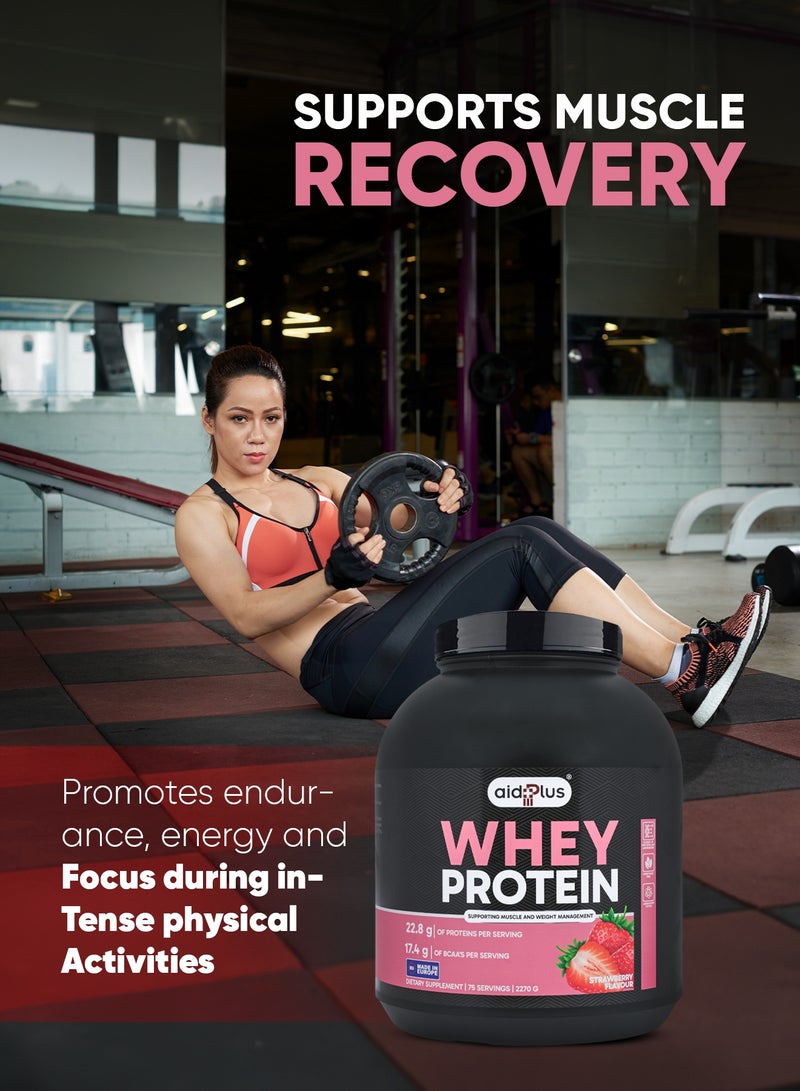 AID PLUS بروتين واي مركز بنكهة الفراولة، 2270غ | 75غ بروتين لكل حصة | لدعم نمو العضلات والتعافي | خالي من الجلوتين واللاكتوز - Image 5