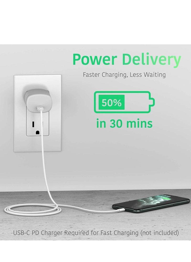 Generic USB C to Lightning Cable iPhone Charger Fast Charging Power Delivery PD  for Apple  - Image 3