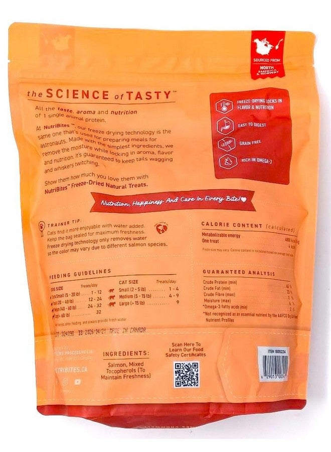 مكافآت الكلاب من نيوتري بايتس بنكهة السلمون المجفف بالتجميد، 18 أونصة - Image 2