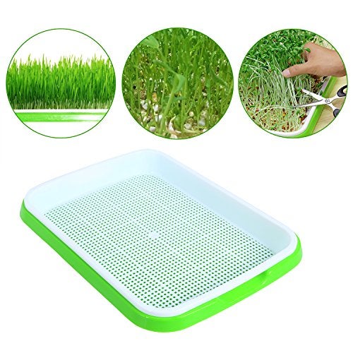 Homend Seed Sprouter Tray, Seed Germination Tray BPA Free Nursery Tray for Seedling Planting Great for for Garden Home Office (3) - Image 4