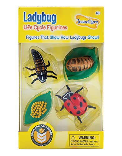 Insect Lore Ladybug Life Cycle - 4 PC Insect Figure Shows Life Of Lady Bug - Image 1